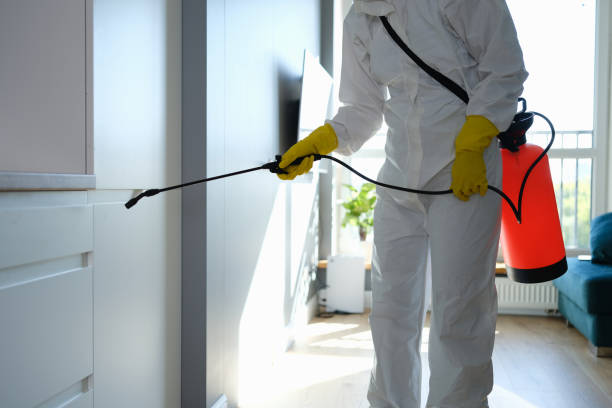 Best Mold Odor Removal Services  in Rosharon, TX